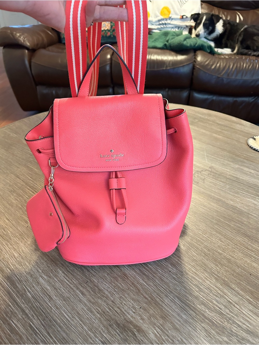 kate spade Pink Leather Drawstring Backpack with Striped Straps